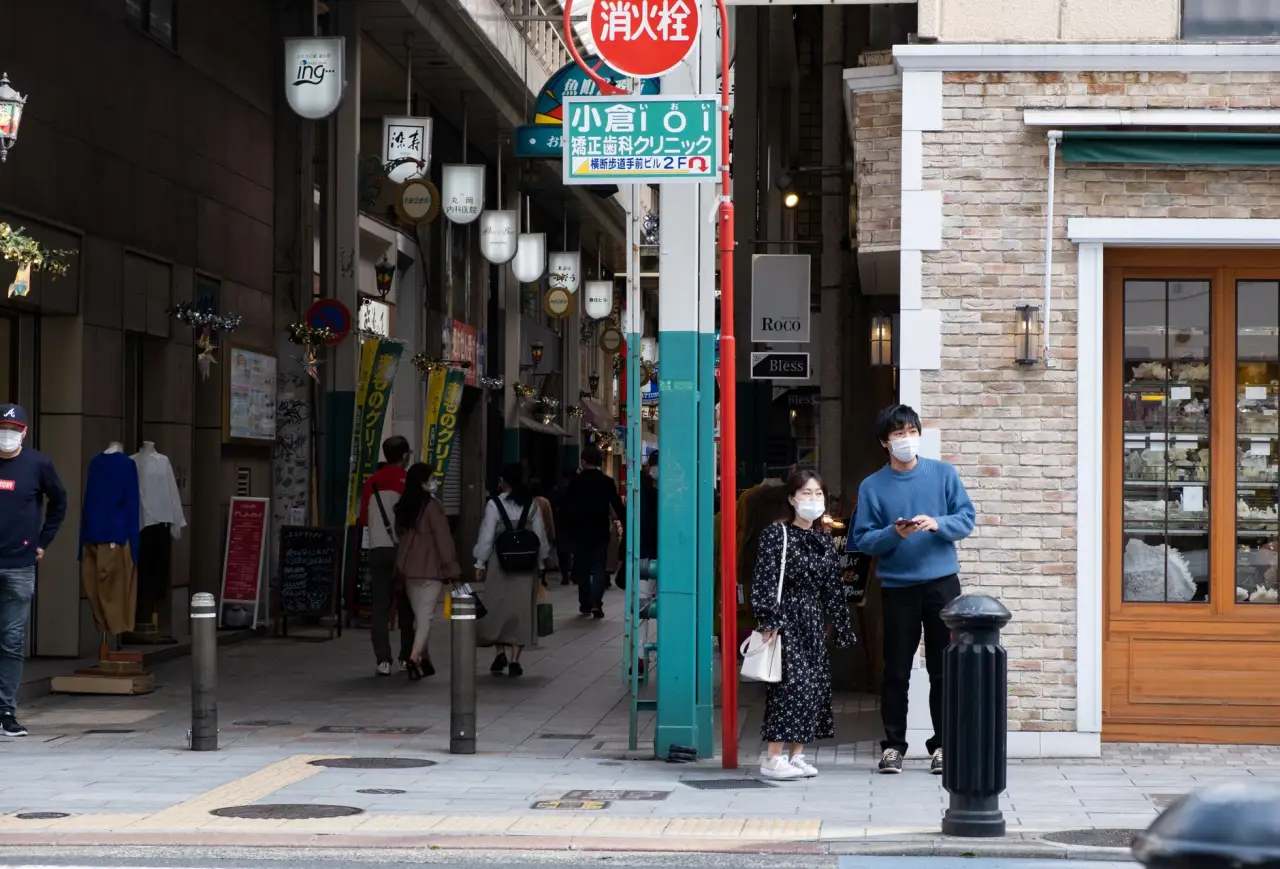 定州市伟润农业苗木种植基地主要品种与选型指南