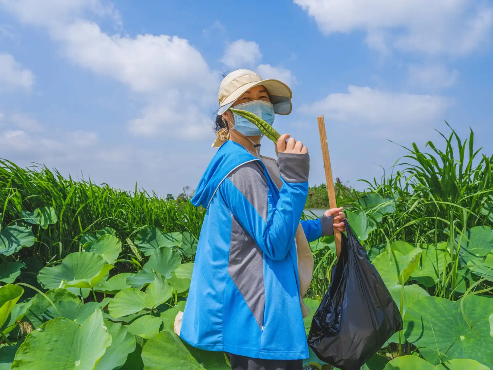定州伟润农业苗木种植基地的标准化管理流程与质量控制体系