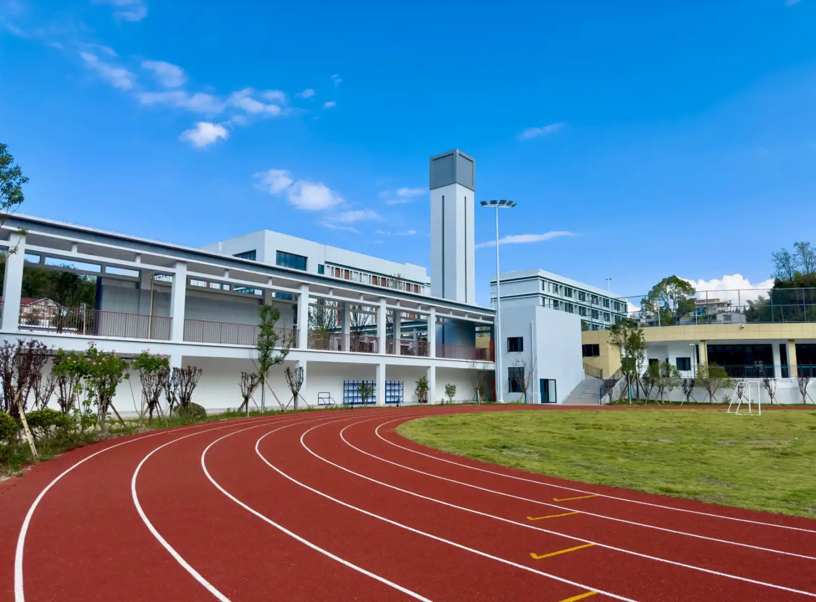 2024年苗木种植与林果加工产品市场价格走势分析