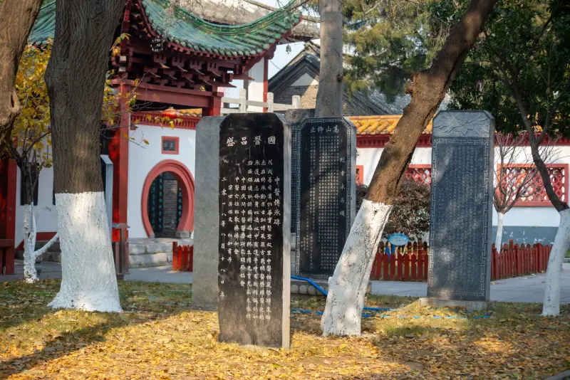 林果产业深加工技术对苗木种植经济效益的提升路径分析