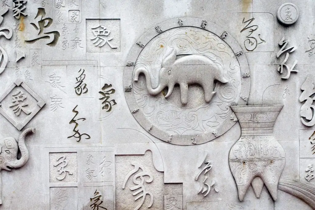 定州市伟润农业开发有限公司苗木种植技术优势与品种对比分析