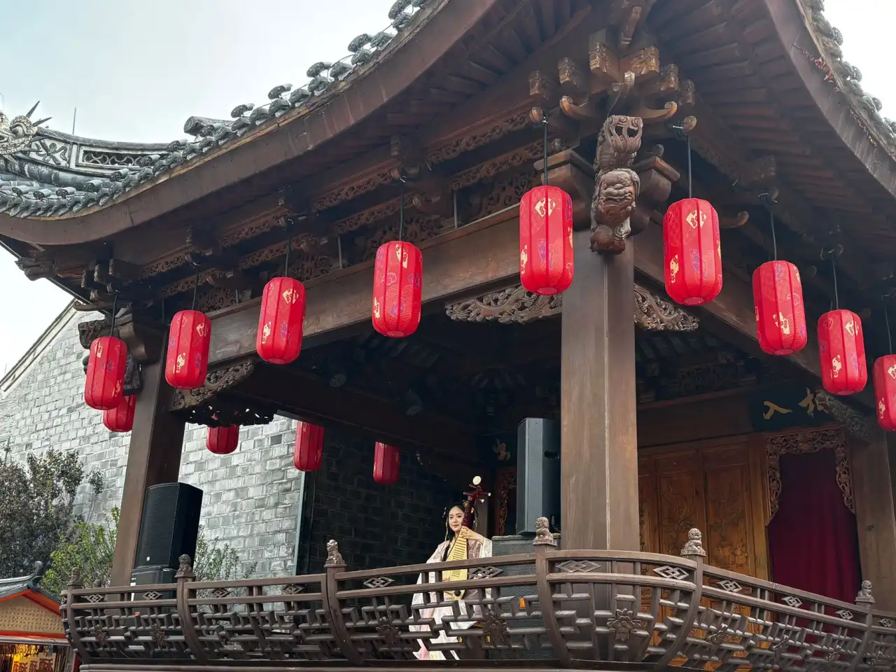 定州市伟润苗木基地优质苗木种植品种与特性对比分析