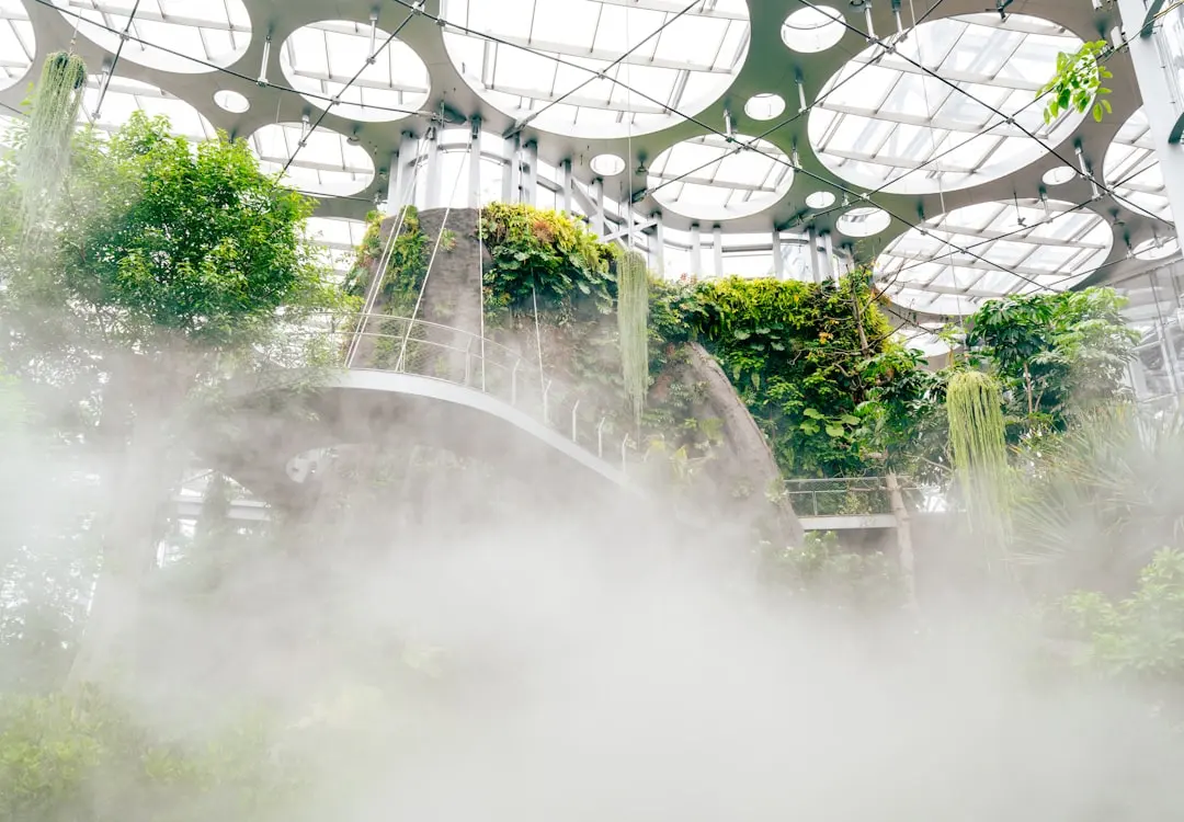 苗木种植与农产品加工协同发展的技术要点解析