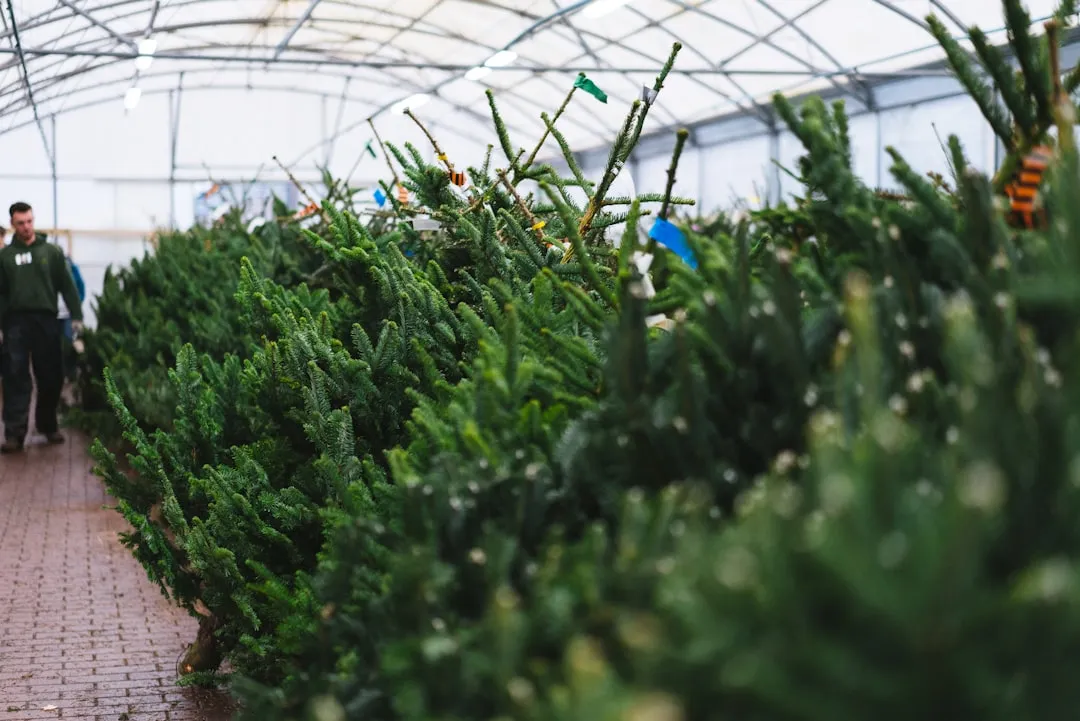 定州市伟润农业开发有限公司苗木种植全流程质量管控体系解析正文配图 2